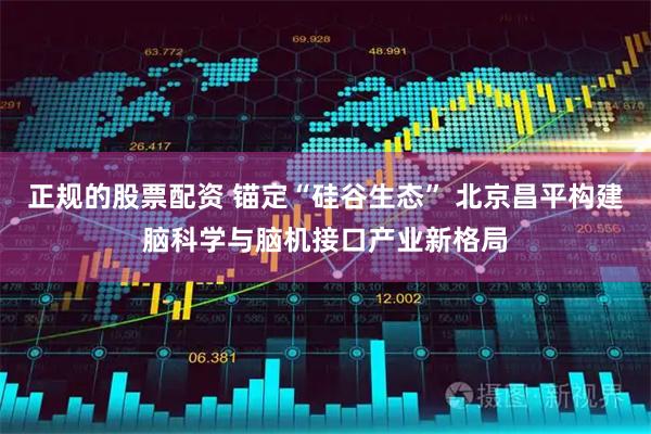正规的股票配资 锚定“硅谷生态” 北京昌平构建脑科学与脑机接口产业新格局