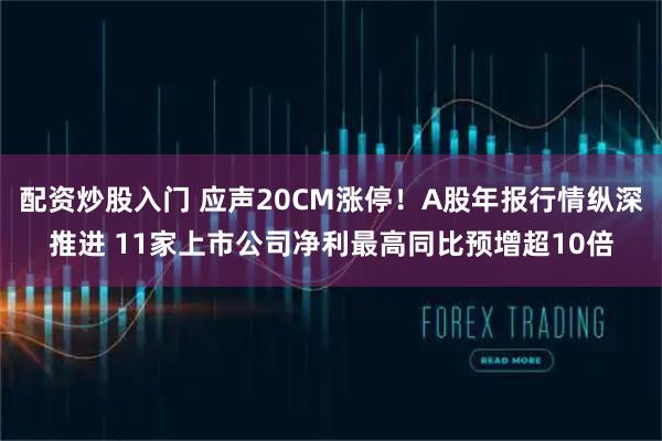配资炒股入门 应声20CM涨停！A股年报行情纵深推进 11家上市公司净利最高同比预增超10倍