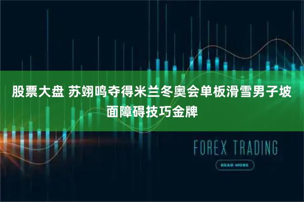 股票大盘 苏翊鸣夺得米兰冬奥会单板滑雪男子坡面障碍技巧金牌