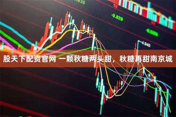 股天下配资官网 一颗秋糖两头甜，秋糖再甜南京城