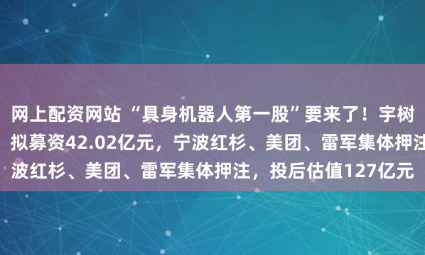 网上配资网站 “具身机器人第一股”要来了！宇树科技IPO申请获受理，拟募资42.02亿元，宁波红杉、美团、雷军集体押注，投后估值127亿元